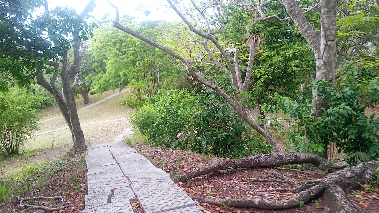Antigua 🇦🇬 Botanical gardens
