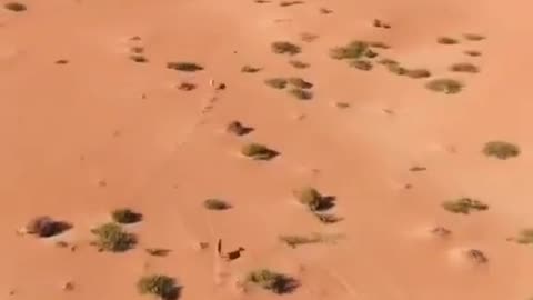 Run for life