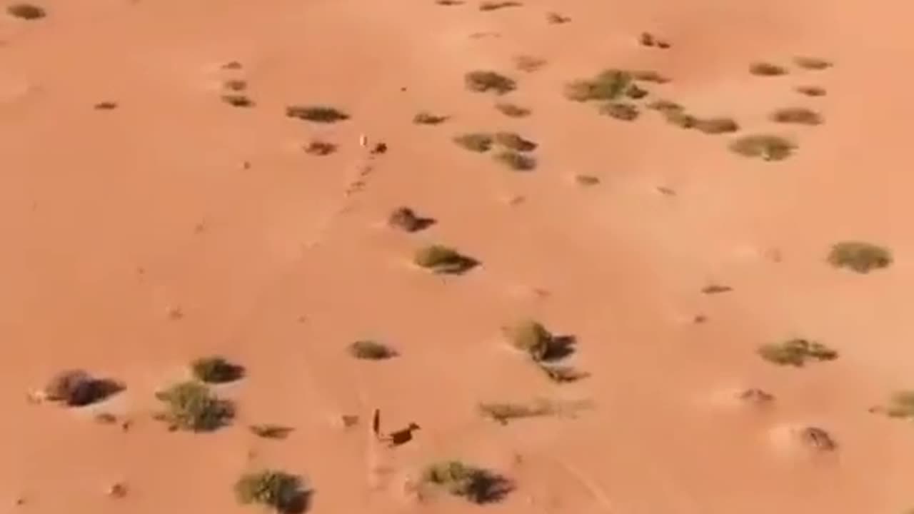 Run for life