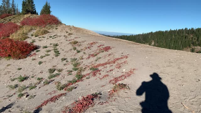 Oregon – Mount Hood – Exploring the Alpine Ridge – 4K