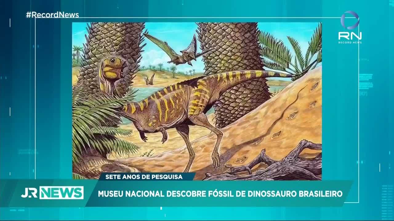 Nova espécie de dinossauro é descoberta no Brasil