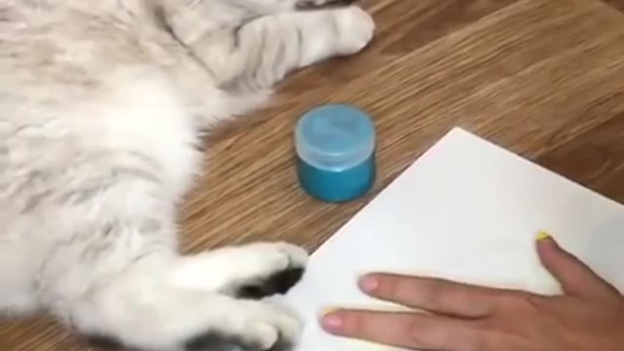 Painting with Paws: This Cat's Talent Will Amaze You