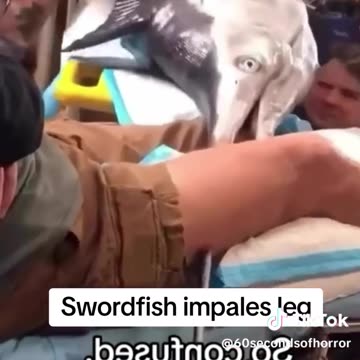 Swordfish impales leg