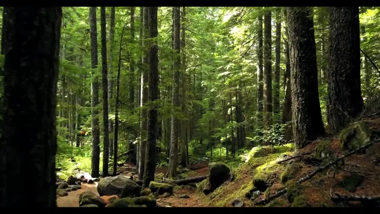 Calm Sleeping Music: Relaxing, Anti Stress, Meditation