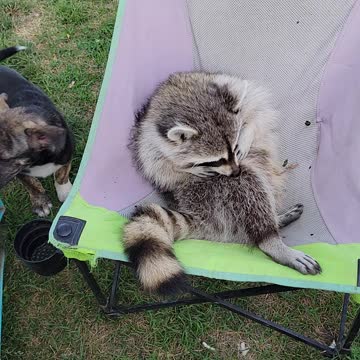 Jerry taking a break