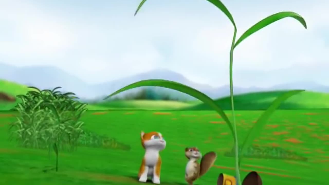 FUNNY KITTY ITS EVERYTHING
