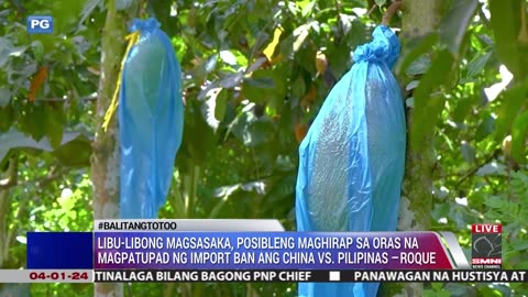 Libu-libong magsasaka, posibleng maghirap sa oras na magpatupad ng import ban