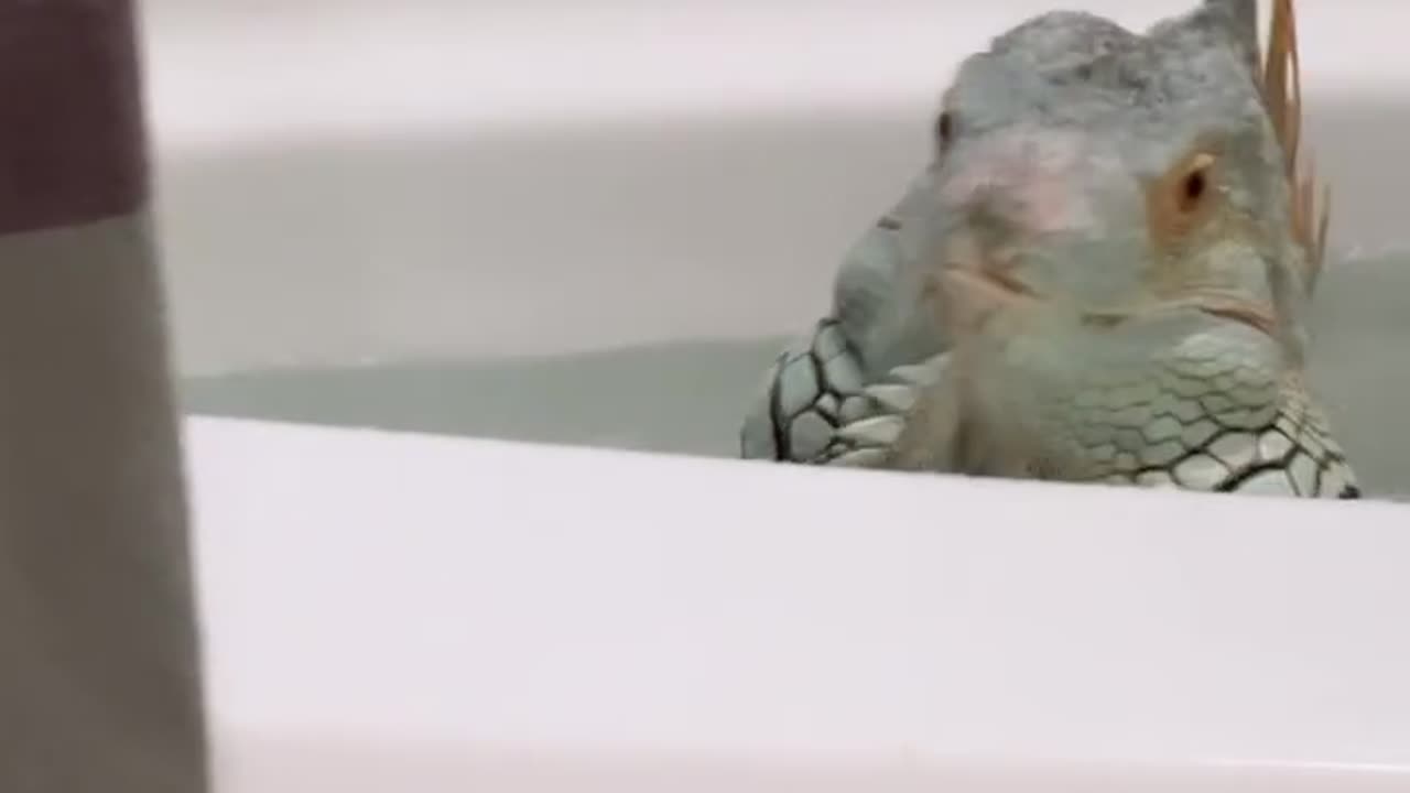 Some privacy please and close the door!! 😂