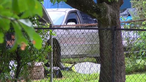 Car falls on man, killing him in Mobile, AL