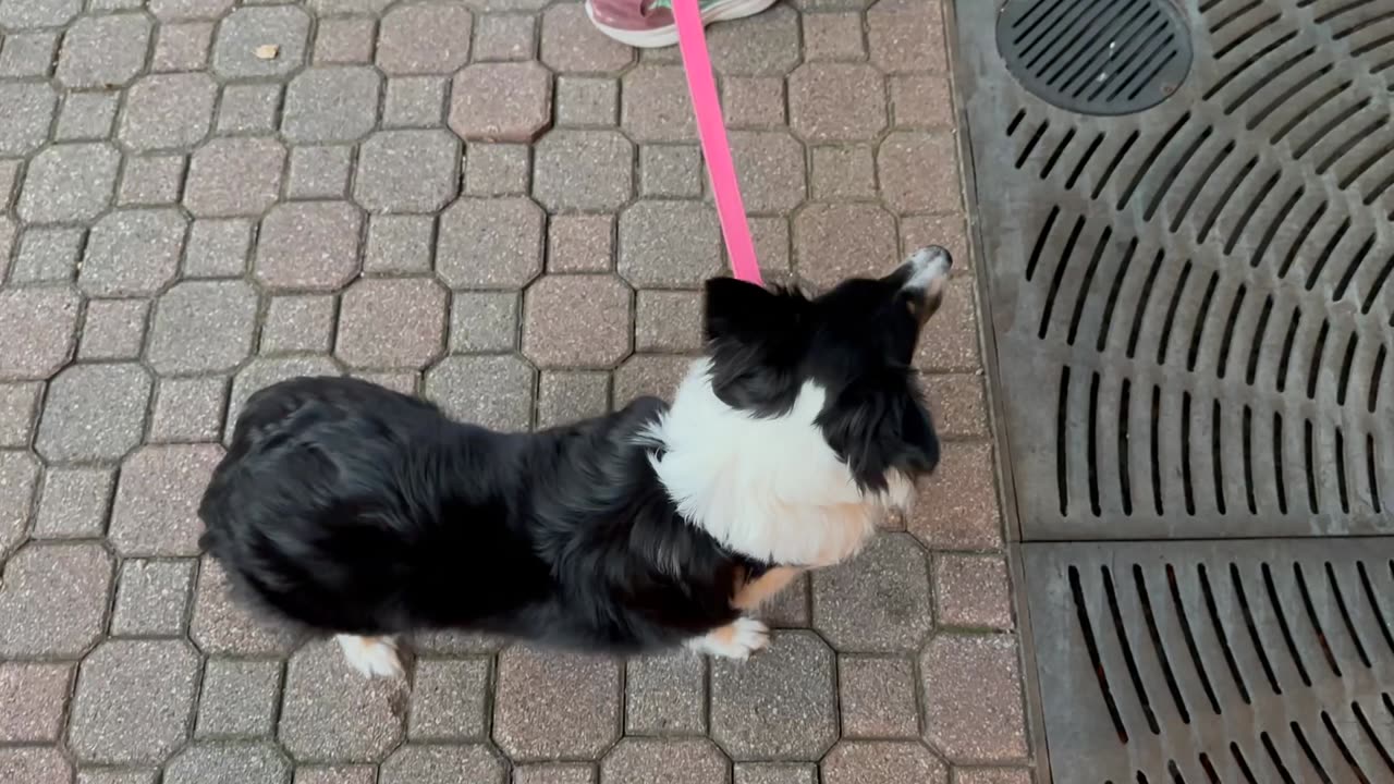 Lyla gets blessed at Mass!