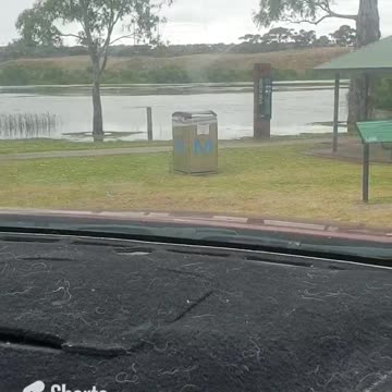 Murray river floods 2022