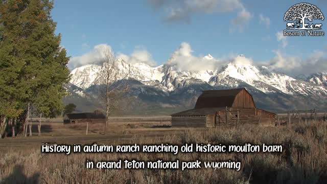 History in autumn ranch ranching old historic moulton barn in grand teton national park wyoming