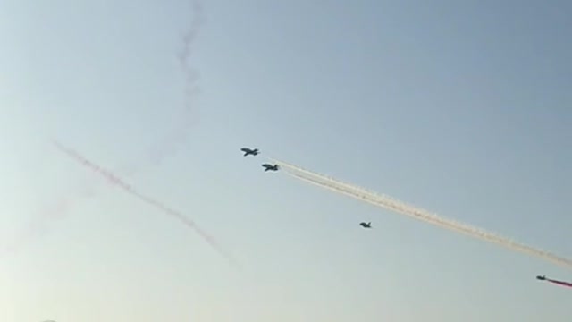 Saudi hawks