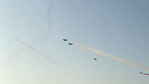 Saudi hawks