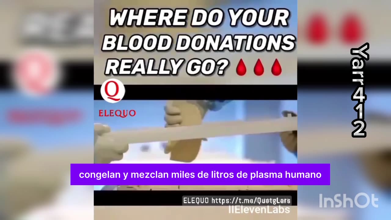 ¿A DÓNDE VAN REALMENTE TUS DONACIONES DE SANGRE?