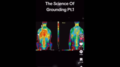 Grounding Results Of 60 People