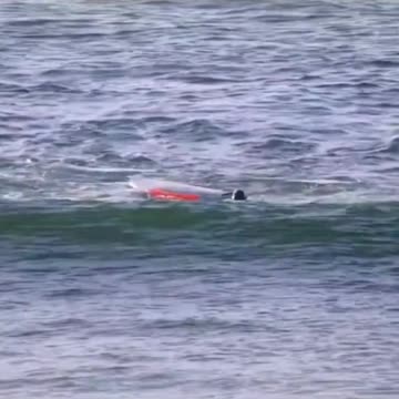 Dolpin Attack, what a speed