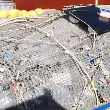 #Warning: More than 100,000kg of plastic removed from the Great Pacific Garbage