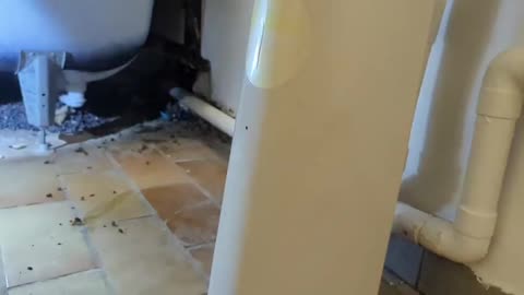 2023-04-28 (5) - Le palace a des rats - Twitch Decheterie (clip)