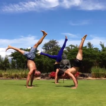 Home Yoga Fitness Workout | Free YOGA Training Videos Viral Reels | Yoga For Weight Loss female-049