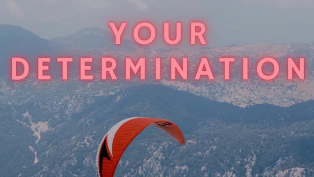 LIES IN YOUR DETERMINATION