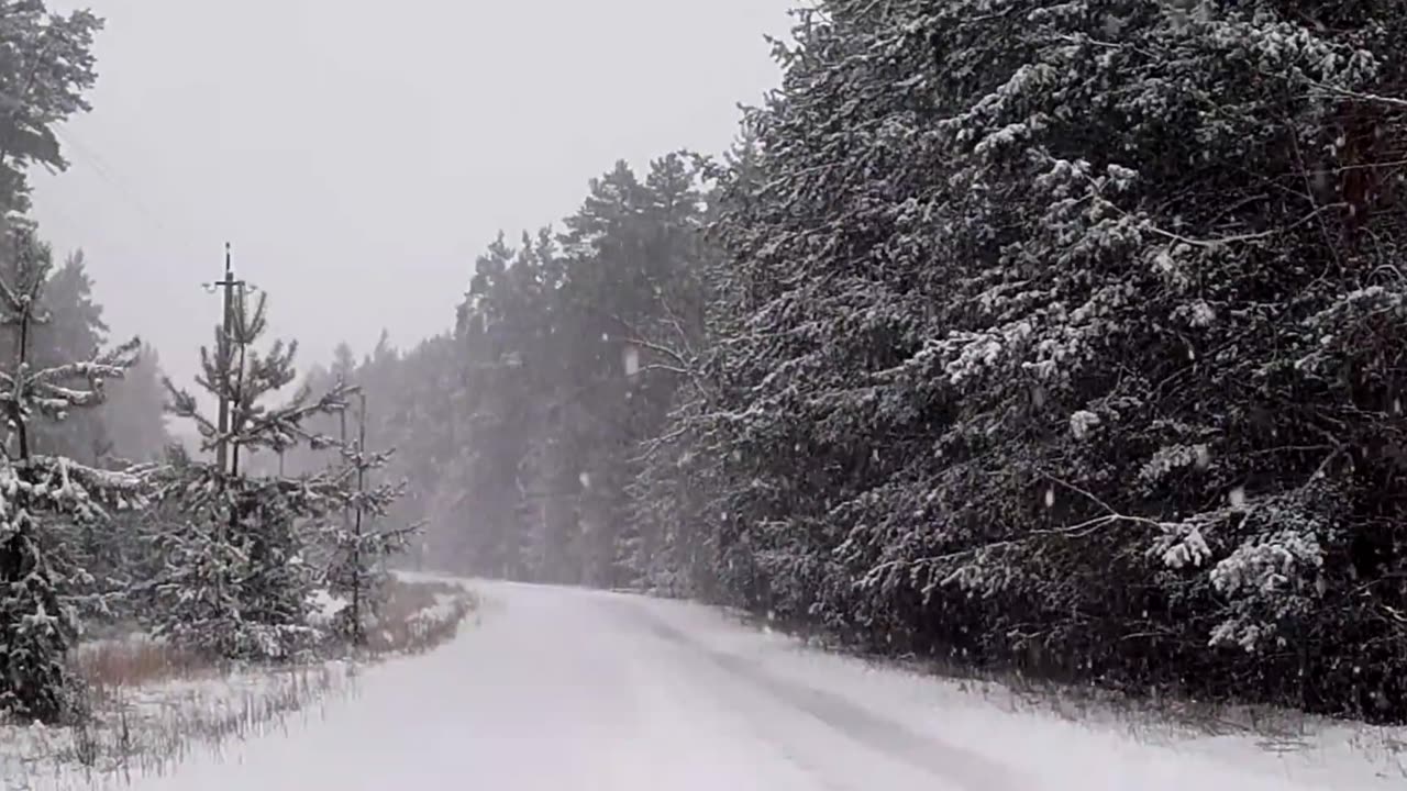 Snow Winter Nature Relaxing Free HD Videos No Copyright footage