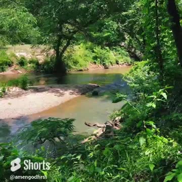 Atlanta yellow river in the heart of nature #shorts