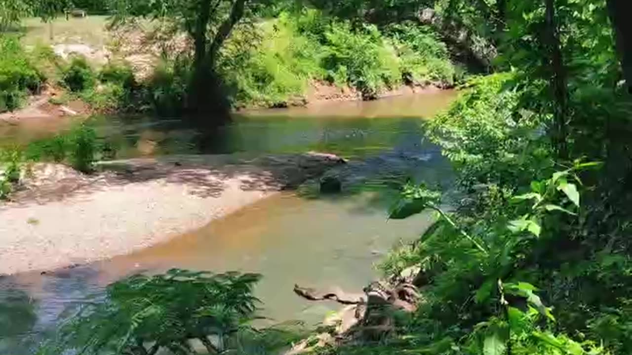 Atlanta yellow river in the heart of nature #shorts