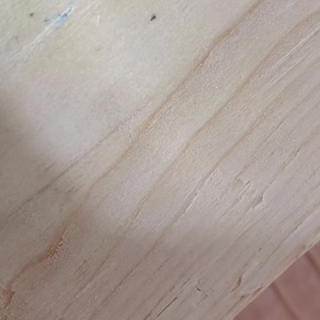 Tiny spider finds by tiny hiding