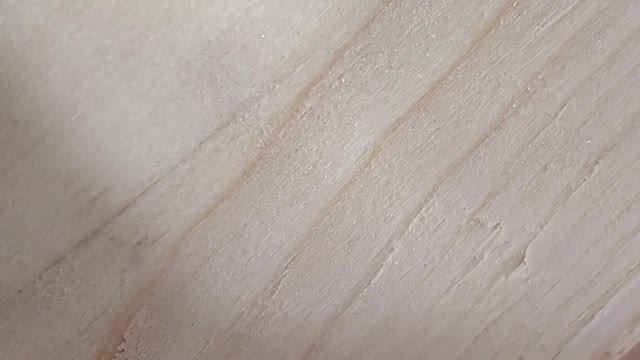 Tiny spider finds by tiny hiding