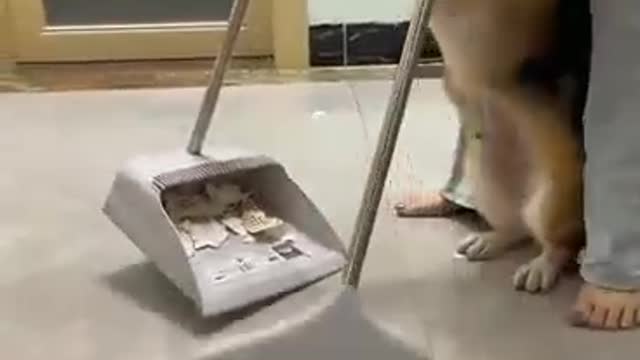 I was forced to sweep the floor