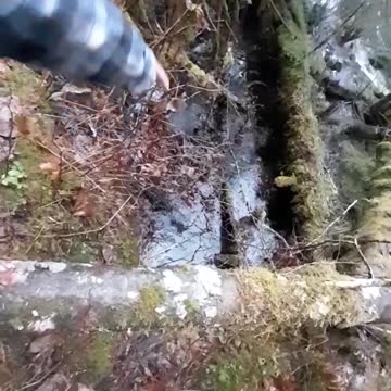 Exploring old gold mine In SE Alaska