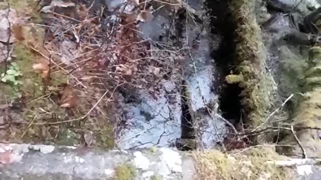 Exploring old gold mine In SE Alaska