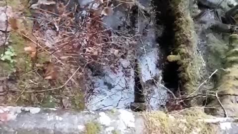 Exploring old gold mine In SE Alaska