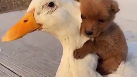 ....i can't resist when i see this