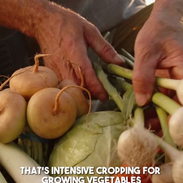 🌱 Exploring No-Till Farming: A Journey in Intensive Cropping