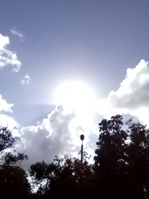 Bliss to my eyes. Nov 9, 2022.