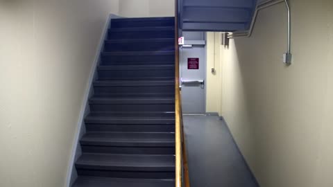 3865FHOB01Stair10_2021-01-06_16h00min01s323ms.mp4