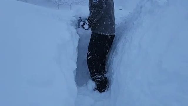 making my husband dig a tunnel to my neighbor so