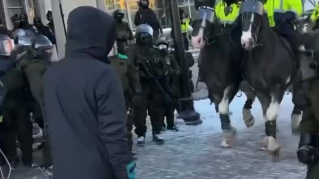 police horses trample protestors in ottawa