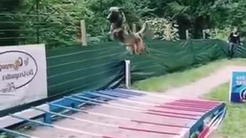High jump