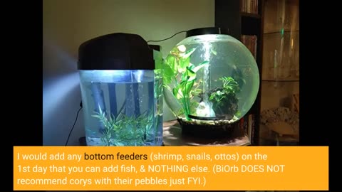 Classic 15 #Aquarium with Standard Light - 4-Overview