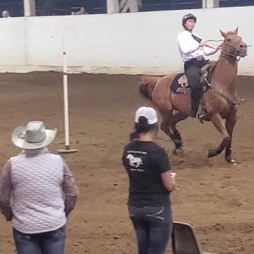 Marion County Fair Horses