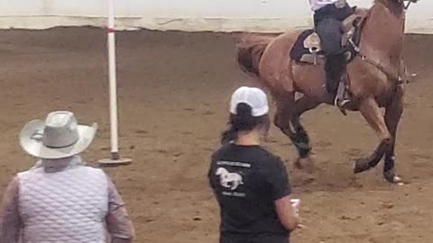 Marion County Fair Horses