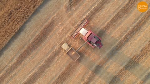 Extreme Heat, Drought Ravage China Central Region Hits 158°F, Fields Become Desert, Shrimp Turn Red