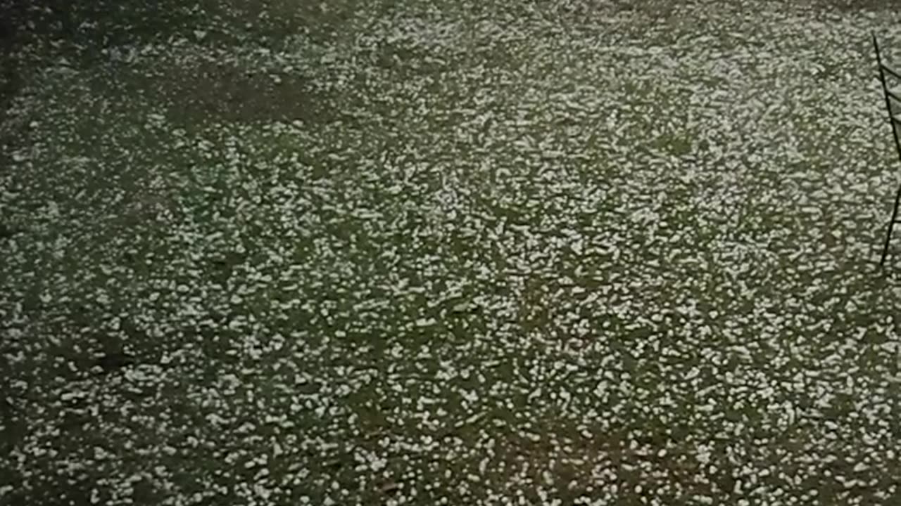 Hailstorm