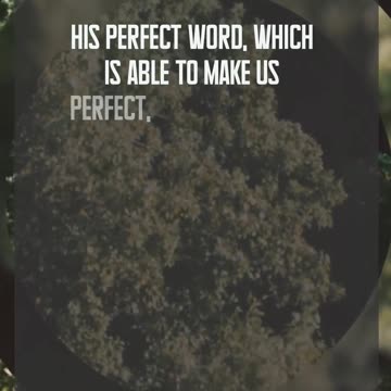 The Perfect equipment