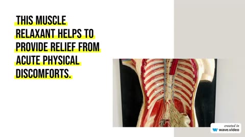 How does Soma work in the body?