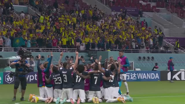 Netherlands vs. Ecuador Highlights - FIFA World Cup 2022