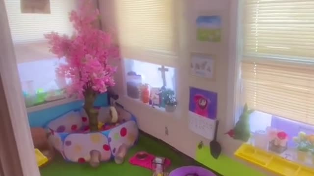 Reply to Ferret Wonderland🥰